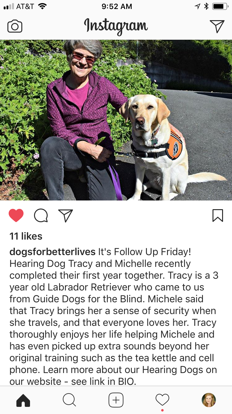 Tracy II, Hearing Dog