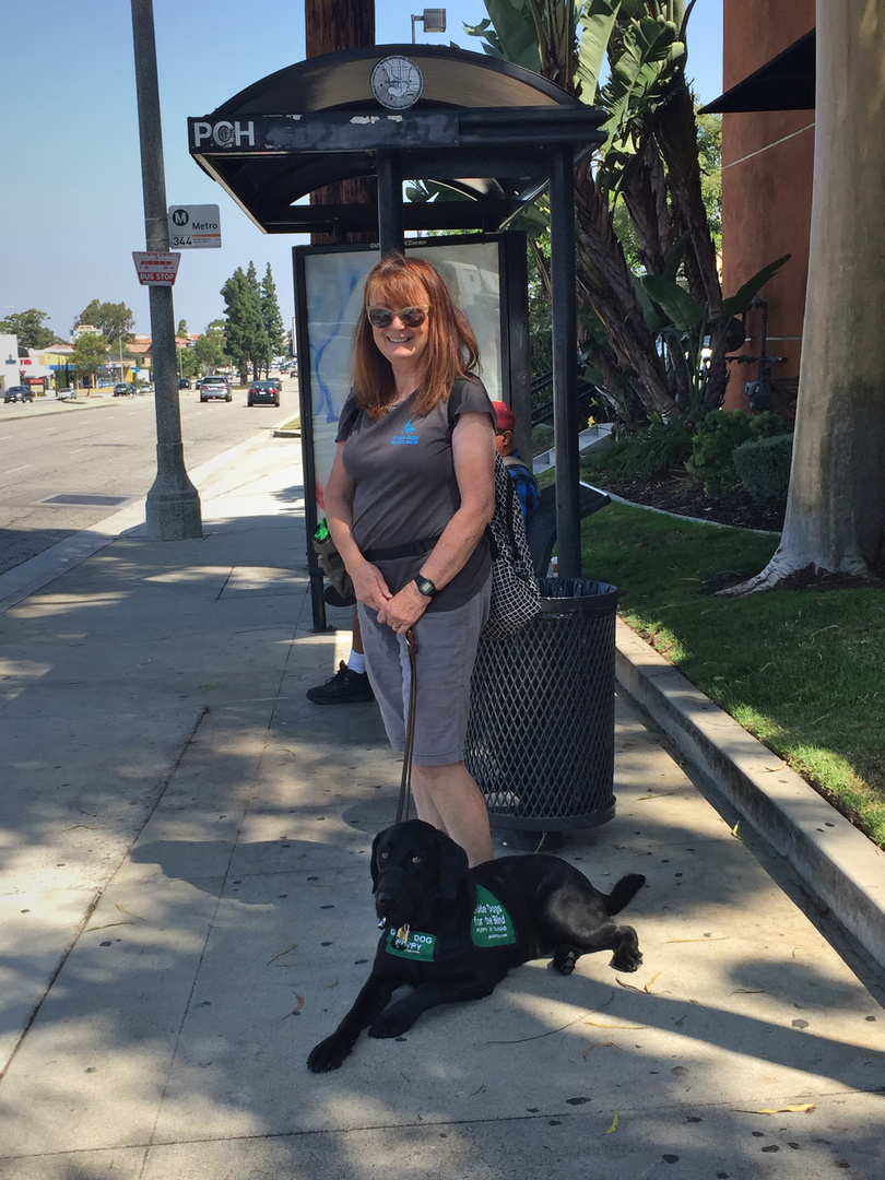 Brenda with Dash VI waiting for a bus