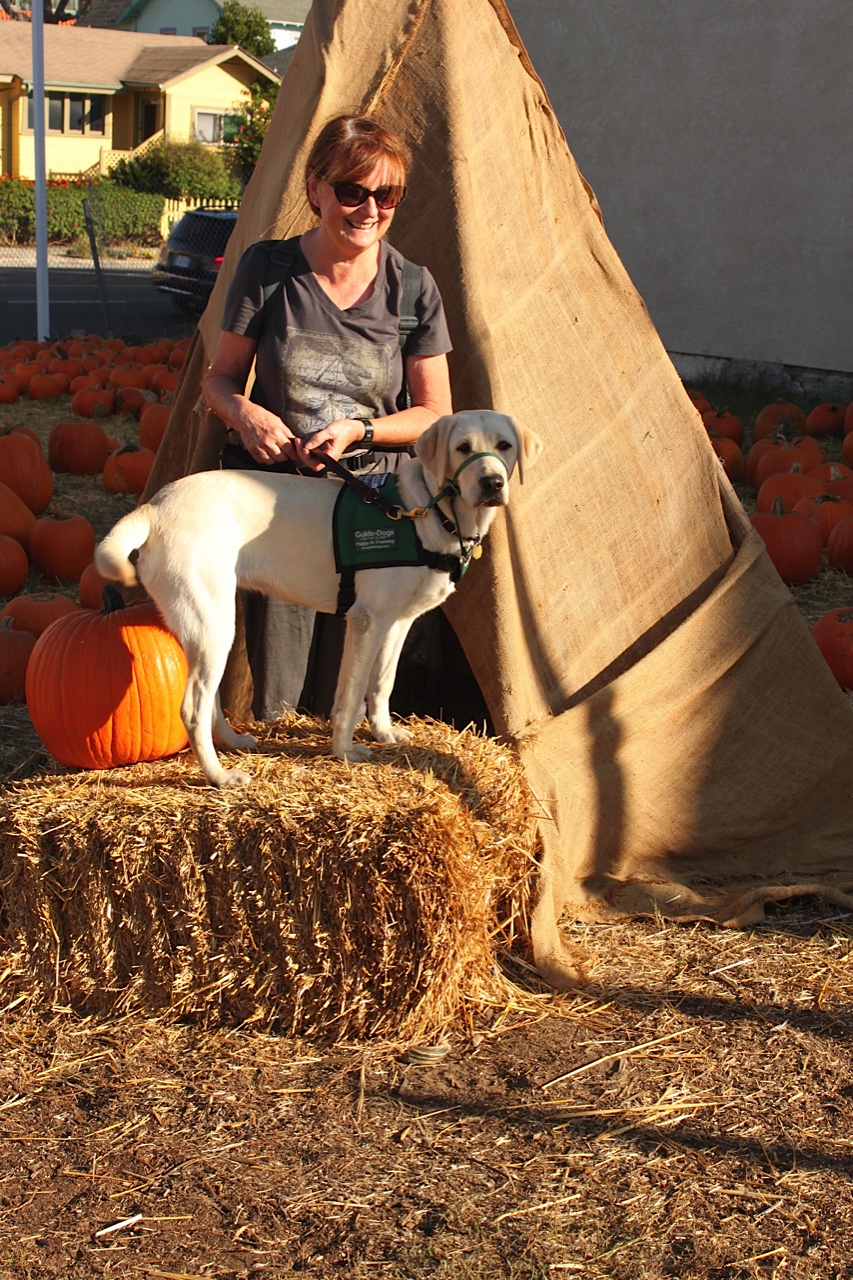 Brenda with Dreamer V at the pumpkin patch