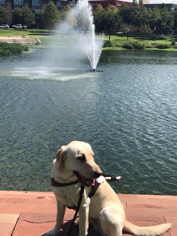 Dreamer V by a lake in Austin