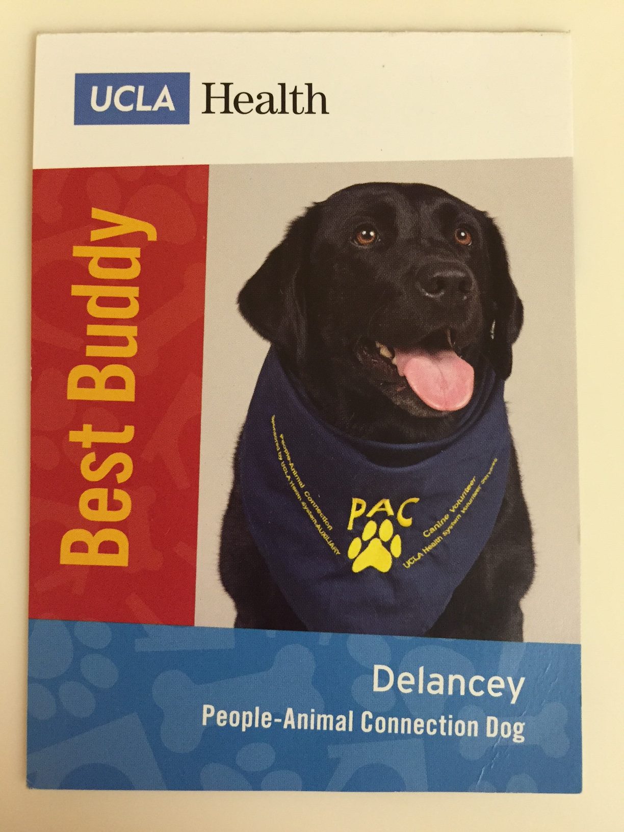 Delancey III Best Buddy