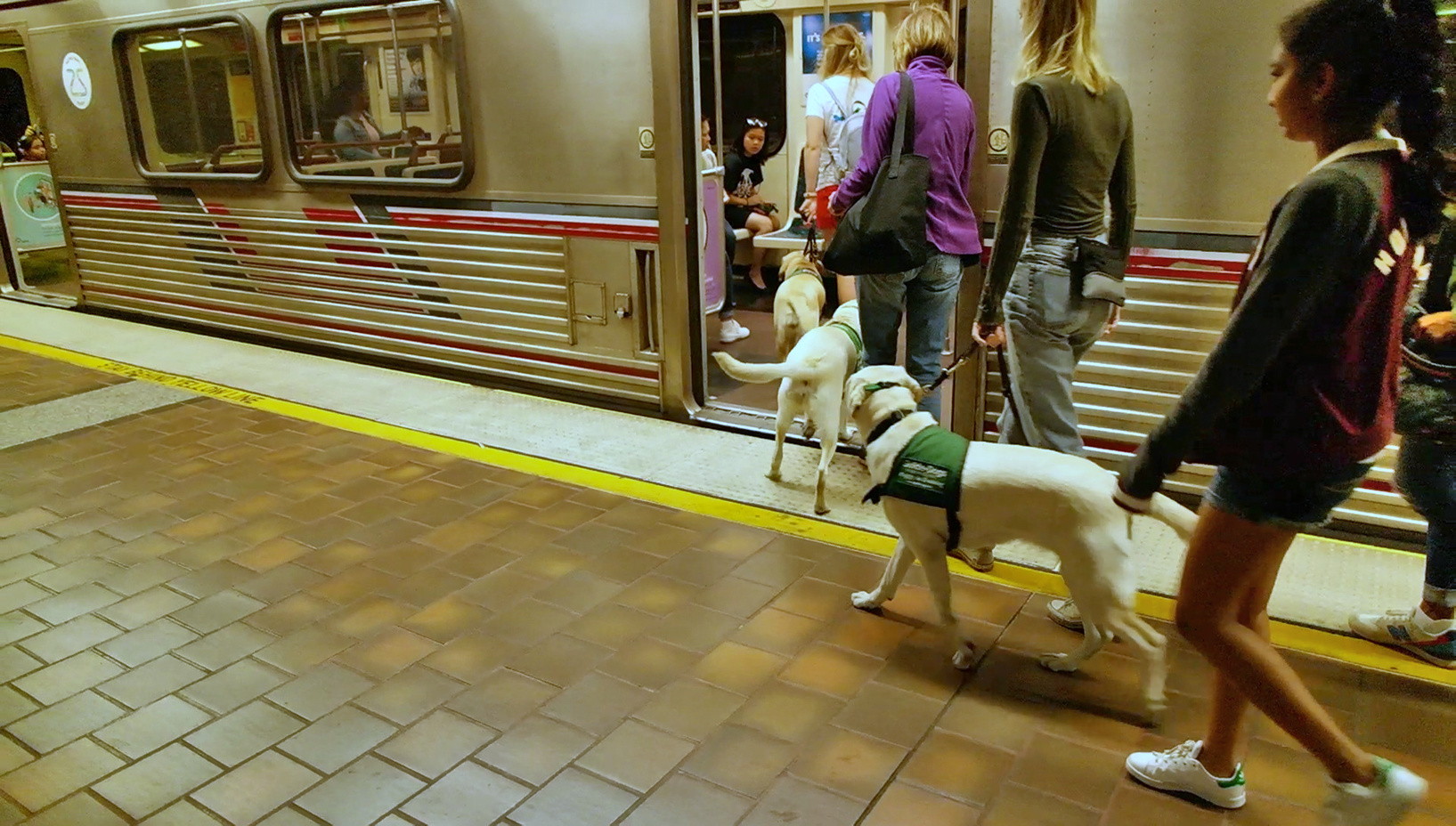 LASW Travel Day, our pups ride the Metro rail to Olvera St.