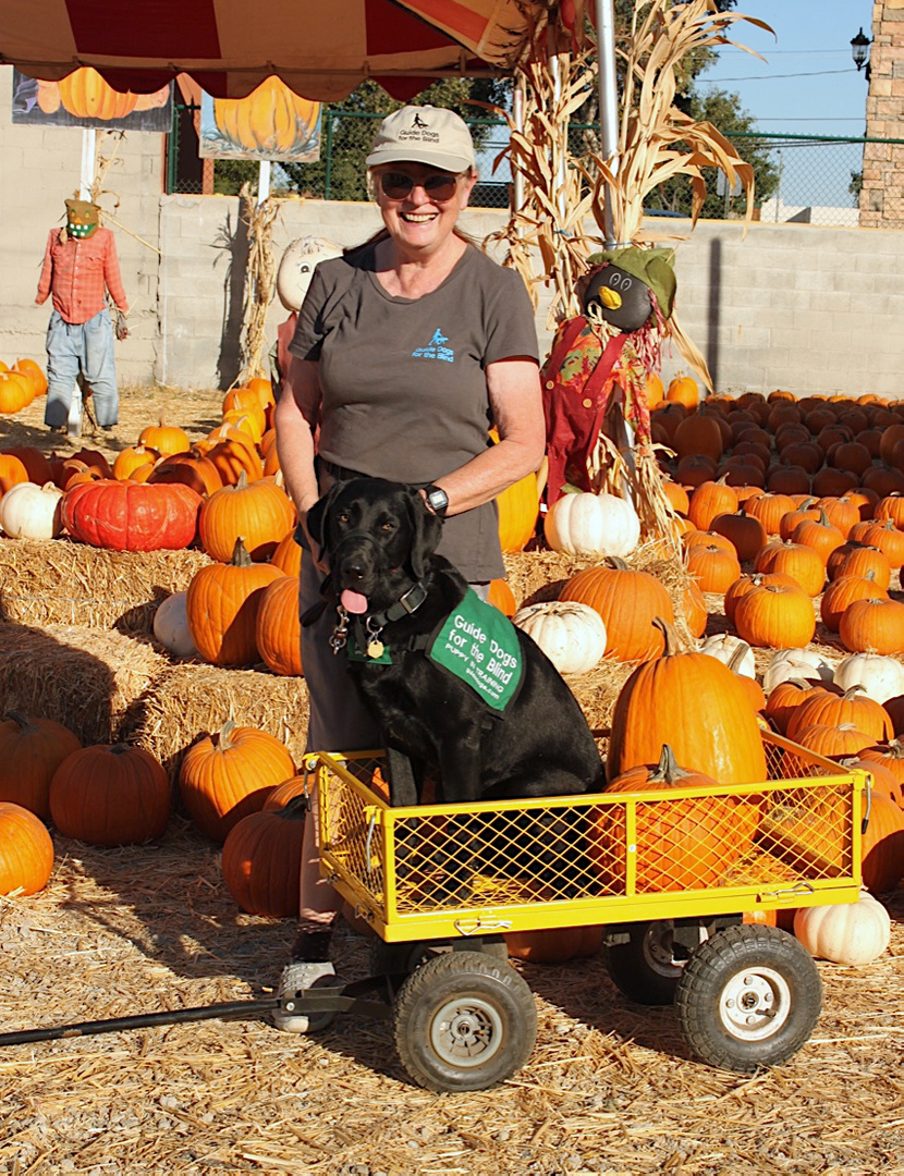 Brenda with Dash VI at the Pumpkin Patch