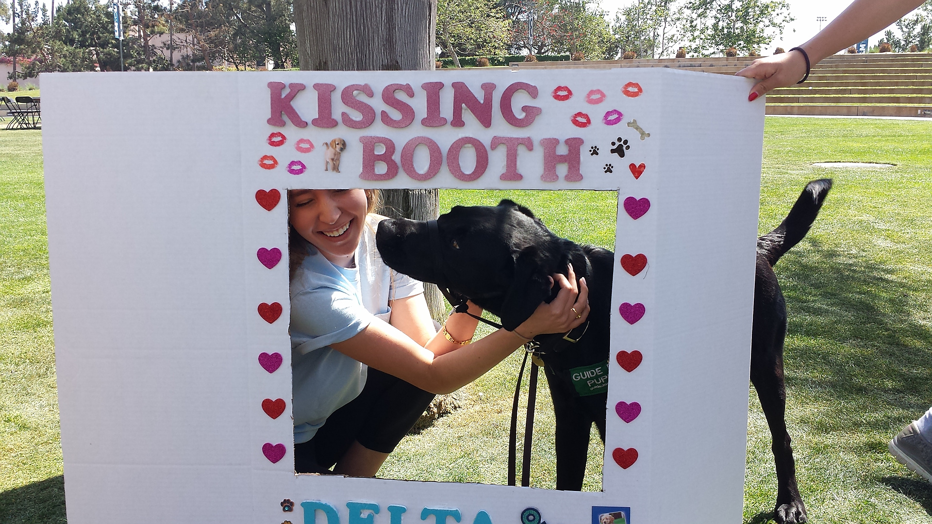 Dash VI Kissing