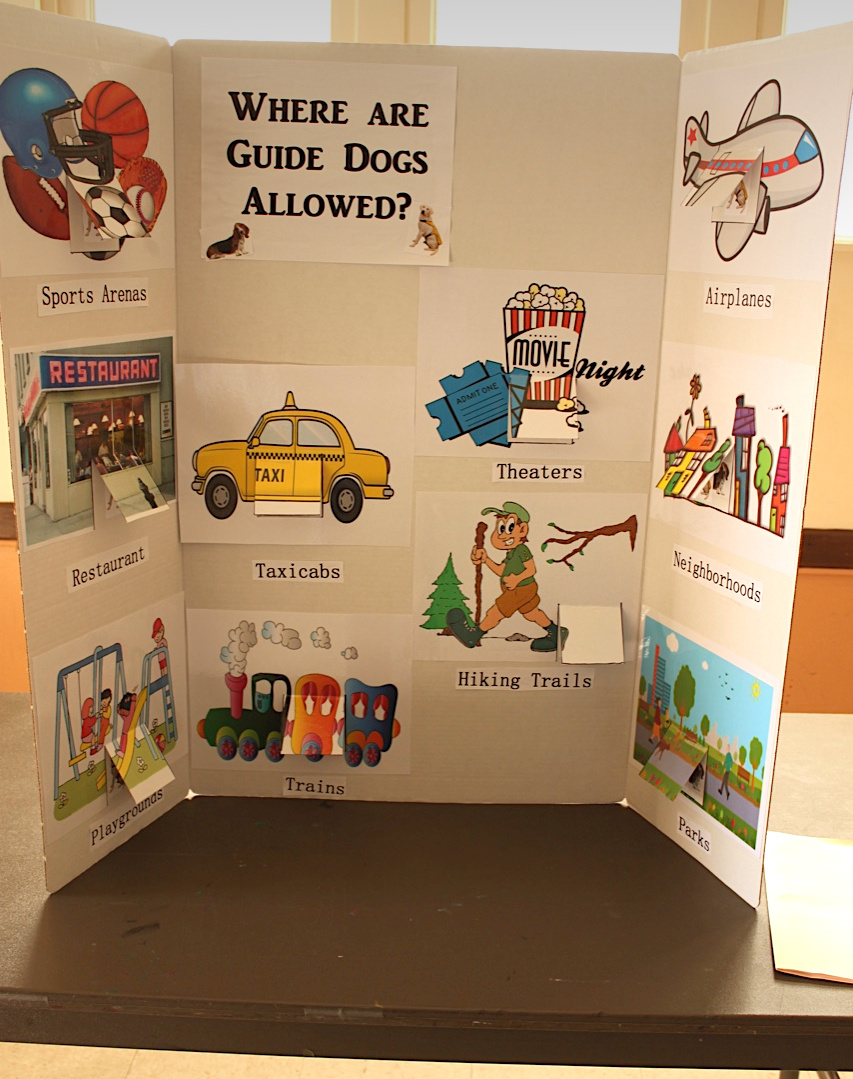 Guide dog display by Girl Scout Evelyn