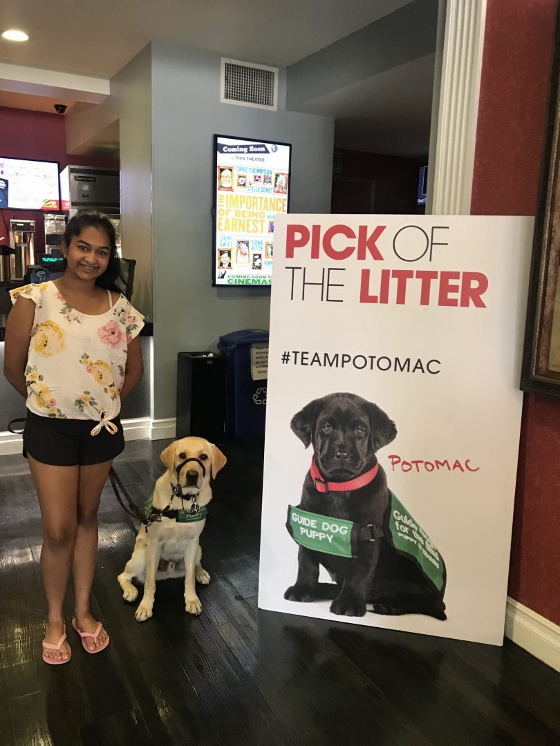 Avanthi with Dover at Pick of the Litter at the Royal
