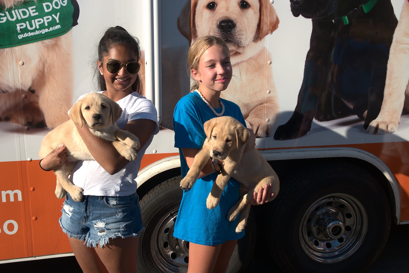 Avanthi with Mesa IV and sibling Moon at the Puppy Truck