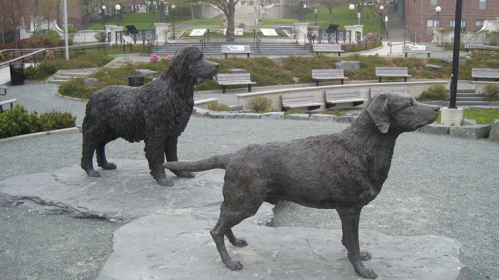 Newfoundland and Labrador statue at St. John's
